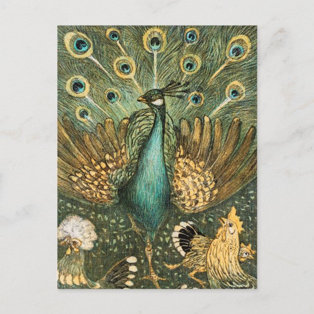 Cartão Postal Ilustração de Peacock Vintage (Frente)