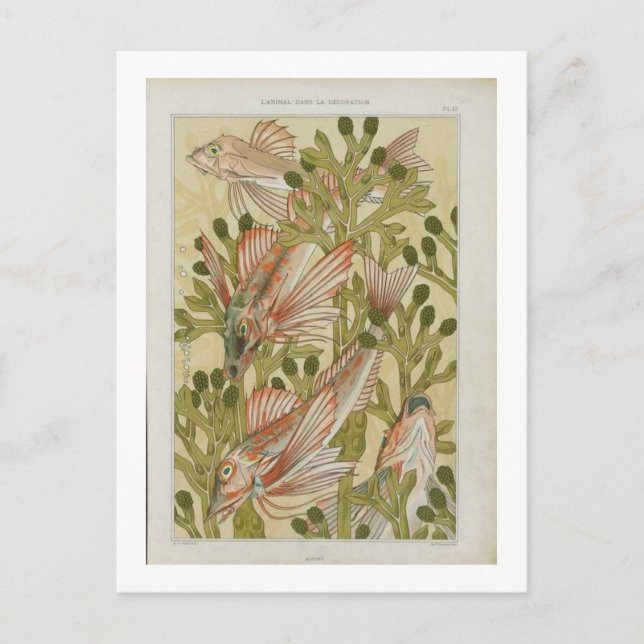 Cartão Postal Ilustração de peixes de safra (Frente)