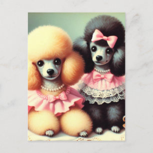 Cartão Postal Ilustração de Poodle em Cute