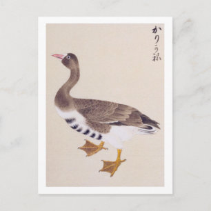 Cartão Postal Ilustração de safra: Ganso selvagem