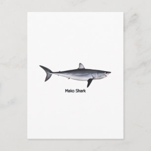 Cartão Postal Ilustração de Shark Mako com Atalho