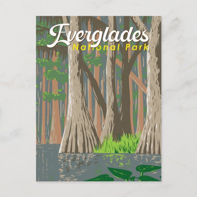Cartão Postal Ilustração de Viagem do Parque Nacional Everglades (Frente)