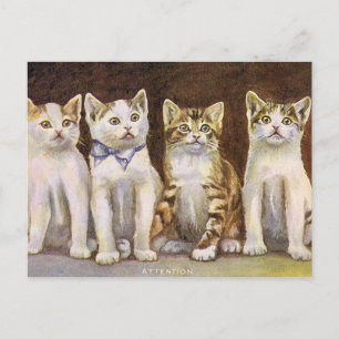 Cartão Postal Ilustração de Vintage de Quatro Gatinhos Cons