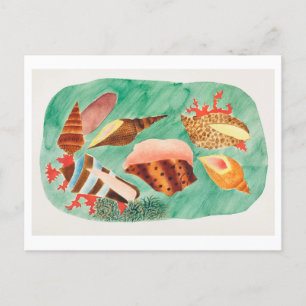 Cartão Postal Ilustração de Vintage Seashell
