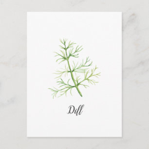 Cartão Postal Ilustração Dill Herb Watercolor