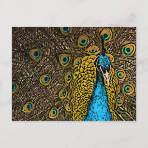 Cartão Postal Ilustração do Distribuidor de Peacock