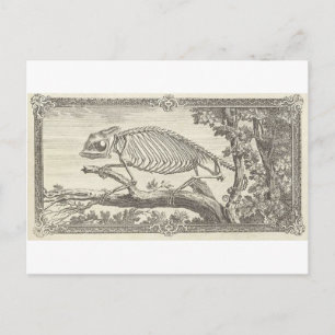 Cartão Postal Ilustração do Esqueleto de Camaleão