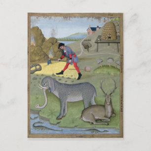 Cartão Postal Ilustração do Livro do Simples