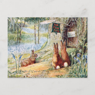 Cartão Postal Ilustração do Livro Infantil do Coelho Vintage