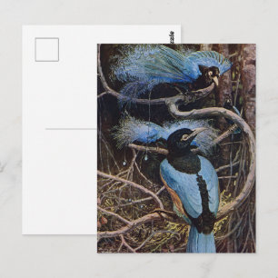 Cartão Postal Ilustração do Paraíso do Pássaro Azul Vintage de J