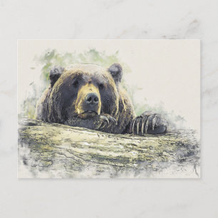 Cartão Postal Ilustração em Aquarela do Urso em Repouso