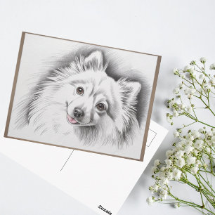 Cartão Postal Ilustração Esboço da Raça de Cachorro Spitz Japonê