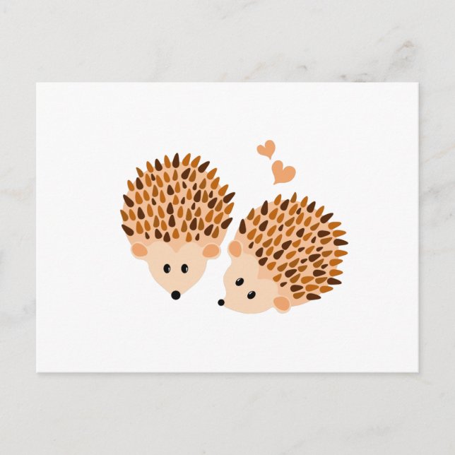 Cartão Postal Ilustração Hedgehogs (Frente)