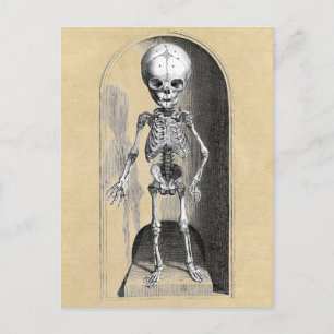 Cartão Postal Ilustração Médica Bidloo (Anterior)