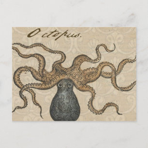 Cartão Postal Ilustração Octopus Vintage Kraken
