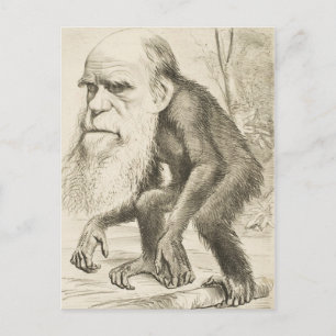 Cartão Postal Ilustração Original Charles Darwin