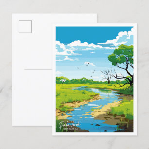 Cartão Postal Ilustração Palo Verde Costa Rica Viagem Vintage