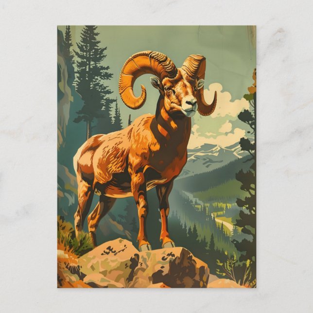 Cartão Postal Ilustração Vintage Bighorn Sheep (Frente)