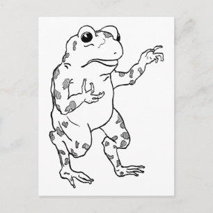 Cartão Postal Ilustração Vintage Bullfrog