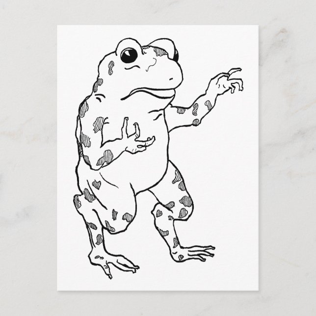 Cartão Postal Ilustração Vintage Bullfrog (Frente)