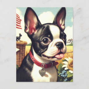 Cartão Postal Ilustração Vintage de Boston Terrier