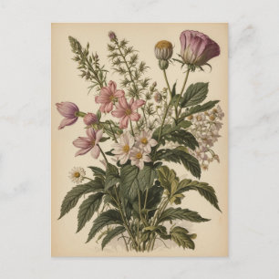 Cartão Postal Ilustração Vintage de Flores Silvestres