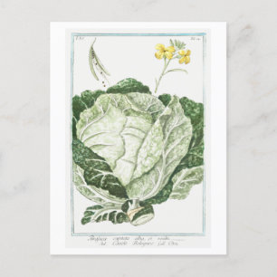 Cartão Postal Ilustração Vintage de Lixo Verde