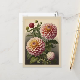 Cartão Postal Ilustração vintage de uma Dahlia