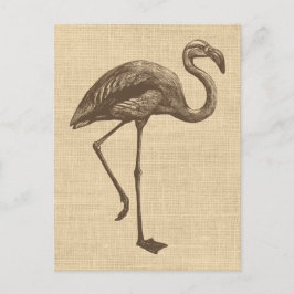 Cartão Postal Ilustração Vintage Flamingo em Burlap