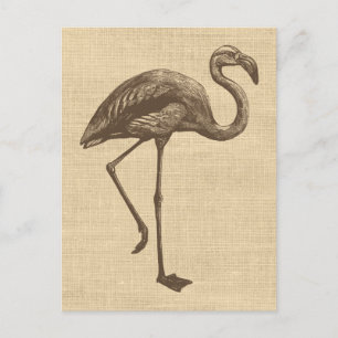 Cartão Postal Ilustração Vintage Flamingo em Burlap