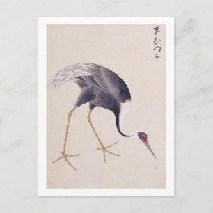 Cartão Postal Ilustração vintage: Grou-de-pescoço-branco