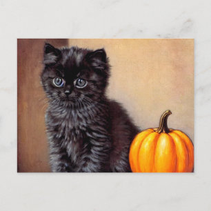 Cartão Postal Ilustração Vintage Halloween Black Kitten