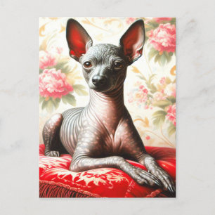 Cartão Postal Ilustração Vintage Xoloitzcuintle