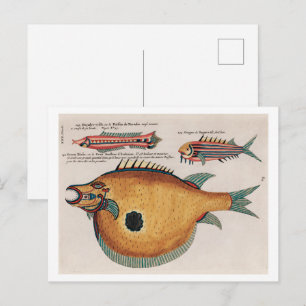Cartão Postal Ilustrações coloridas e surreais de peixes