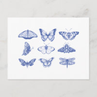 Ilustrações da Borboleta Vintage em Azul