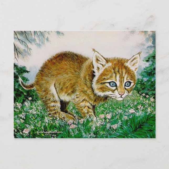 Cartão Postal Ima Bobkitty (Frente)