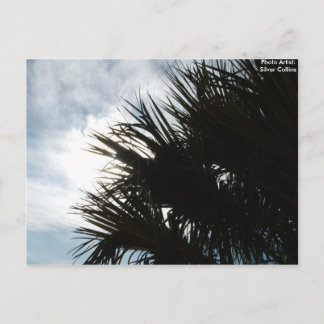 Cartão Postal Imagem 150, Foto Artista: Silver Collins