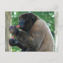 Cartão Postal Imagem bonita do macaco-louro marrom