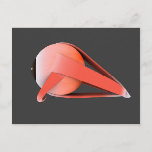 Cartão Postal Imagem Conceitual Da Anatomia Ocular Humana 7