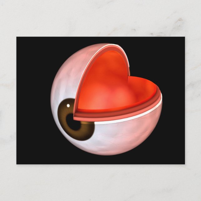 Cartão Postal Imagem Conceitual Da Anatomia Ocular Humana 8 (Frente)