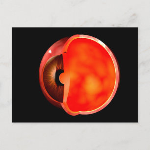 Cartão Postal Imagem Conceitual Da Cruz De Olhos Humanos Seção