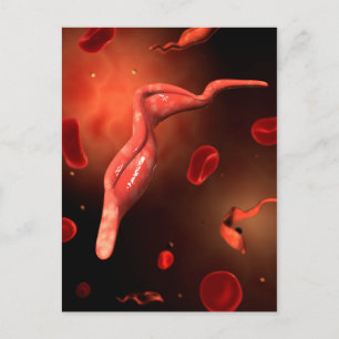 Cartão Postal Imagem Conceitual de Trypanosoma 1
