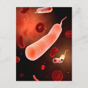 Cartão Postal Imagem Conceitual De Vibrio Cholerae 2