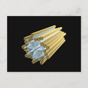 Cartão Postal Imagem Conceitual Do Centriole