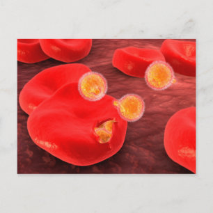 Cartão Postal Imagem Conceitual Do Paramécio 2