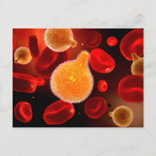 Cartão Postal Imagem Conceitual Do Plasmodium Causando Malária 