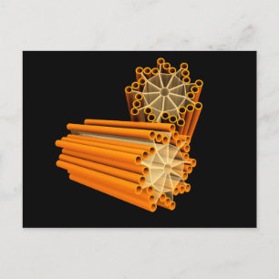 Cartão Postal Imagem Conceitual Dos Centrioles 1