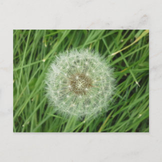 Cartão postal - imagem da natureza