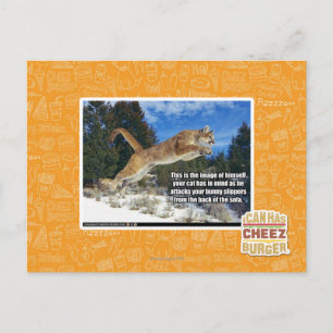 Cartão Postal Imagem de Cat