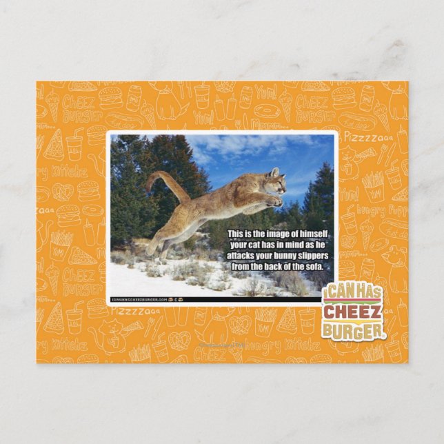 Cartão Postal Imagem de gato (Frente)